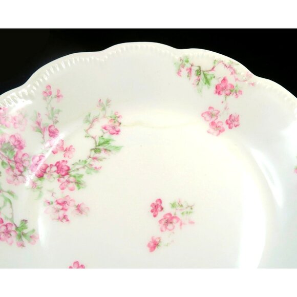 Haviland Limoges Schleiger 58A Coupe Soup Bowl 7.5" France Pink Roses - Picture 4 of 7